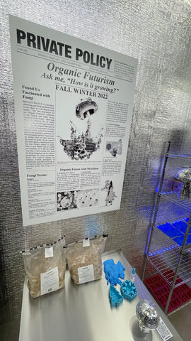 mycelium workshop diy private policy mushroom fungi